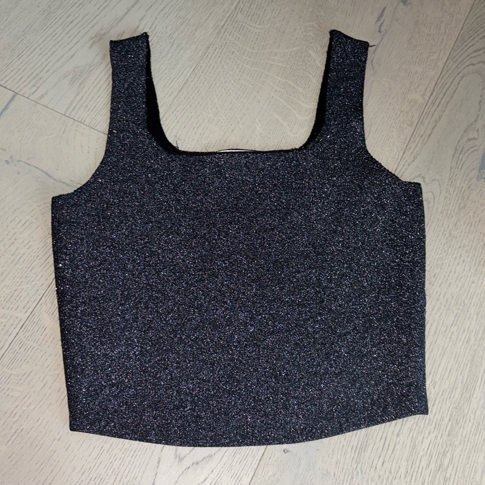 ALC BRAND NEW Metallic Crop Tank Top